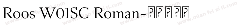 Roos W01SC Roman字体转换